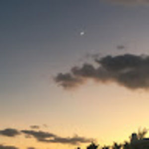 Meet your Posher, Sadie